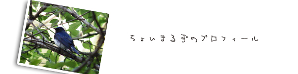 傢܂邸vtB[