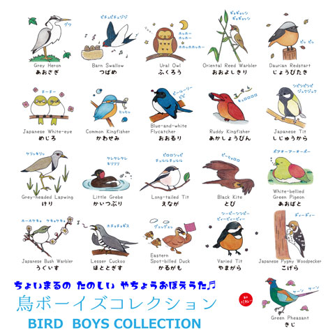 野鳥おぼえ歌「鳥ボーイズコレクション」